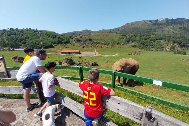 Billet Excursion au Parc Naturel de Cabárceno depuis Santander