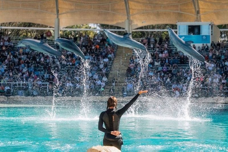 Billet Billets pour Sea World à Main Beach