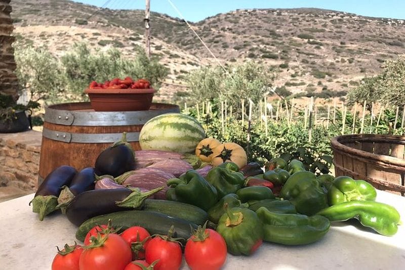 Billet Dégustation de vins à Naxos