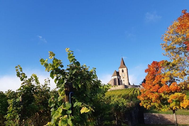 Billet Circuit de la Route des Vins depuis Colmar