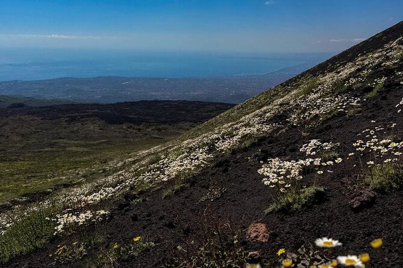 Billet Tour en 4x4 de l'Etna avec transport depuis Catane
