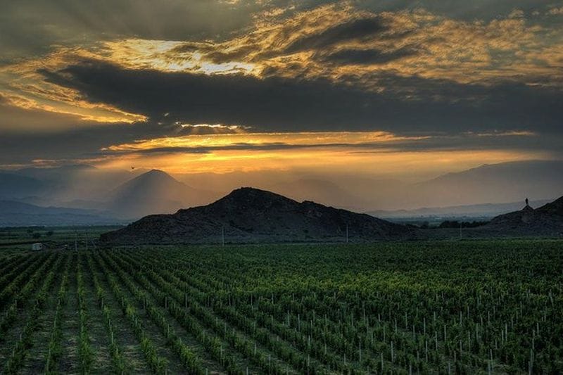 Billet Excursion à Khor Virap, Noravank, dans un vignoble et une grotte aux oiseaux depuis Erevan