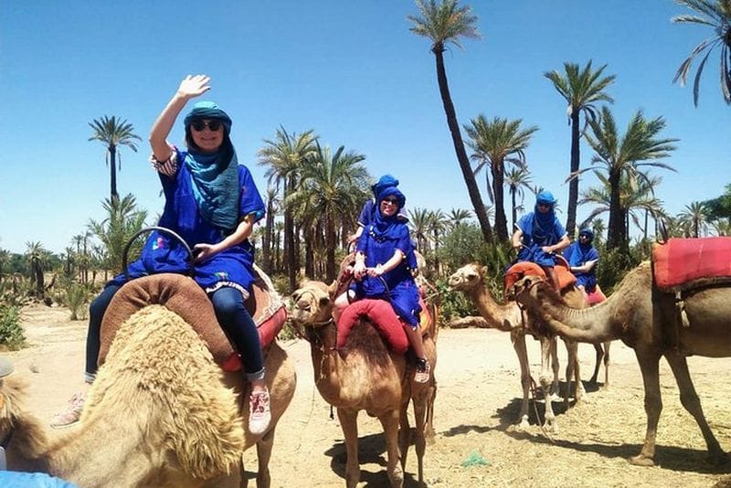 Billet Balade à dos de chameau dans la Palmeraie de Marrakech