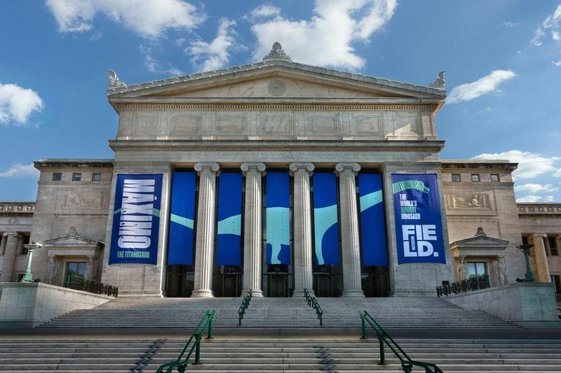 Billet Visite guidée du Musée Field d'Histoire Naturelle de Chicago