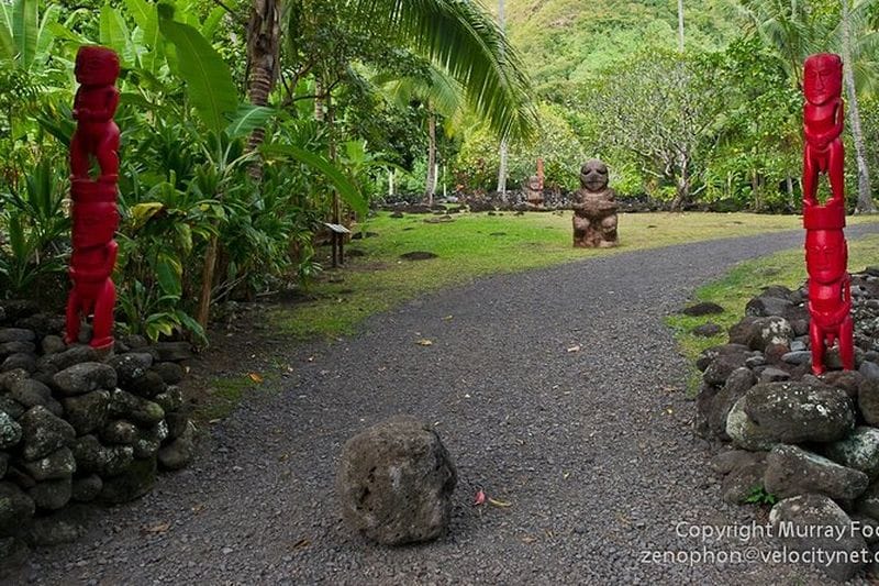 Billet Visite privée de l'île de Tahiti