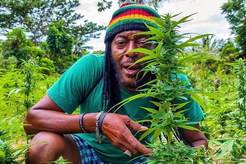 Billet Balade en quad à Montego Bay