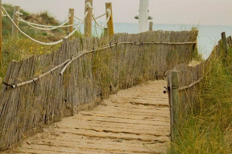 Billet Excursion au Parc Naturel de l'Albufera de Valence