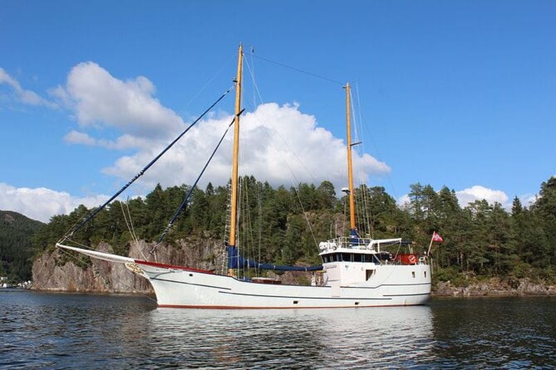Billet Croisière dans les îles Lofoten avec déjeuner au départ de Svolvær