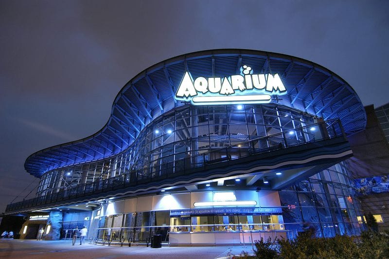 Billet Billets pour l'aquarium du centre de Denver