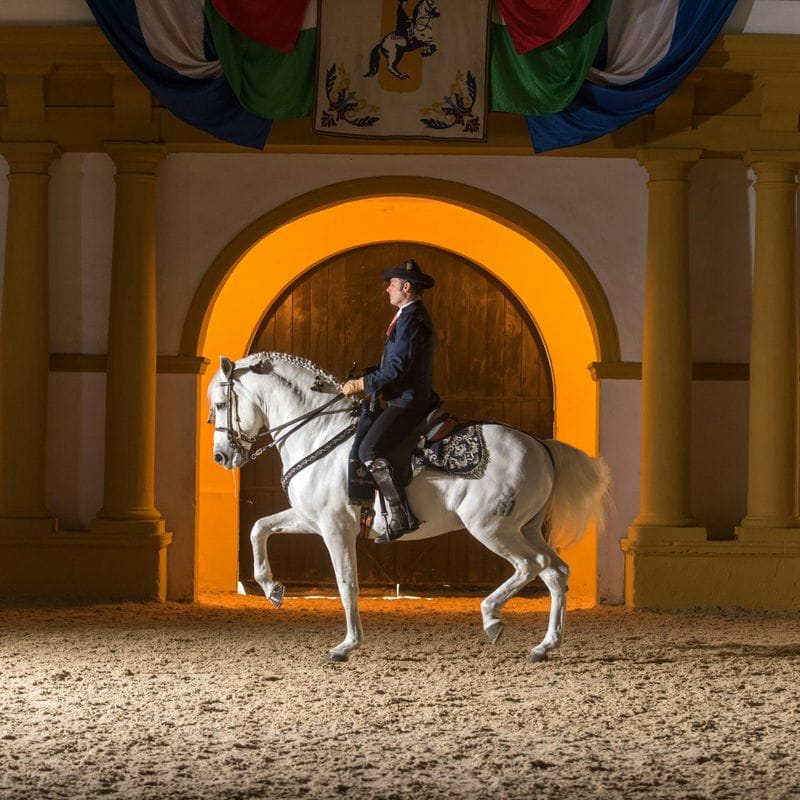 Billet Visite guidée de la Real Escuela Andaluza del Arte Ecuestre à Jerez de la Frontera