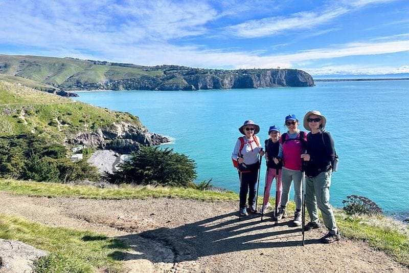 Billet Visite de la péninsule de Banks avec pique-nique à Christchurch