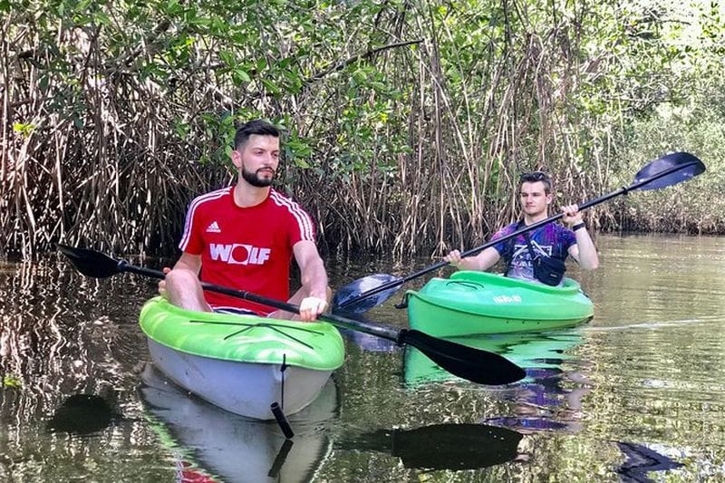 Billet Tour privé en kayak à León