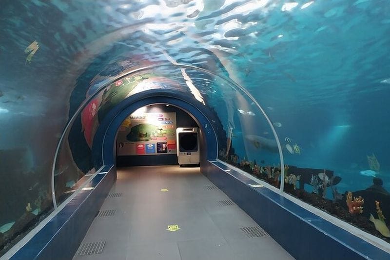 Billet Billets pour le Cebu Ocean Park