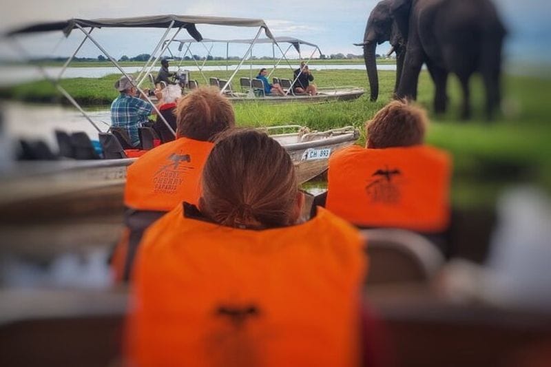 Billet Croisière sur le fleuve Chobe au départ de Kasane