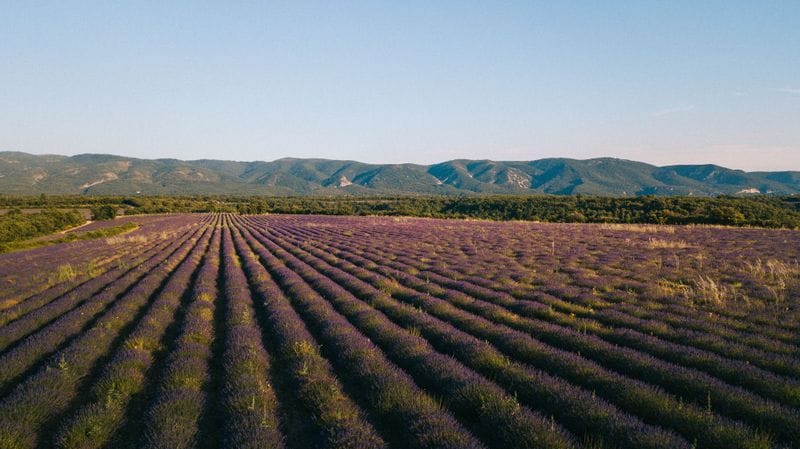 Billet Location de vélos chez Luberon Bike Rental