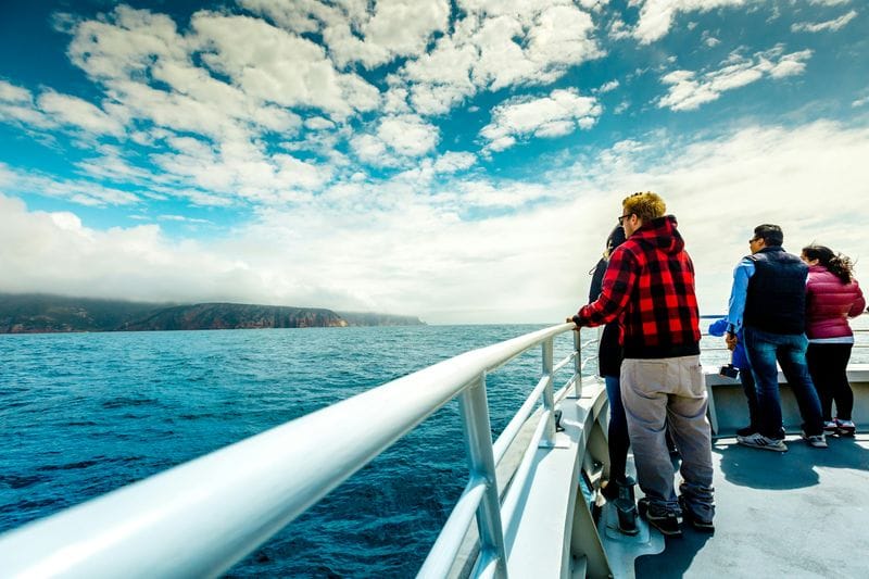 Billet Croisière dans la baie de Wineglass avec déjeuner et accès au Vista Lounge