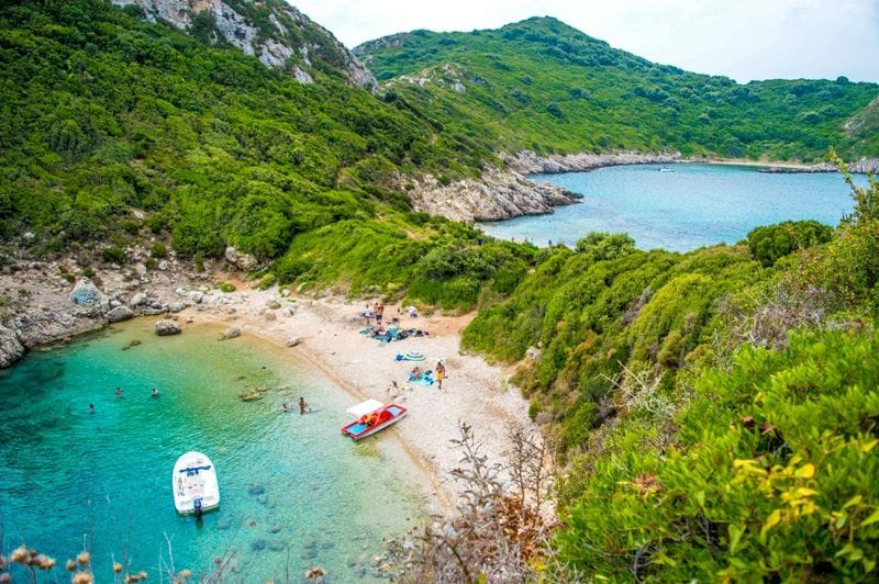 Billet Safari en mer avec bateau à côtes