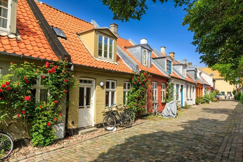Billet Visite à pied d'introduction d'Aarhus avec un local