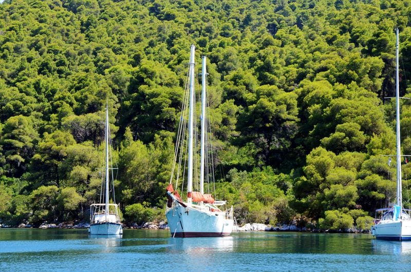 Billet Mamma Mia ! Points forts