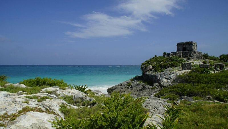 Billet Visite privée de Tulum et baignade avec les tortues