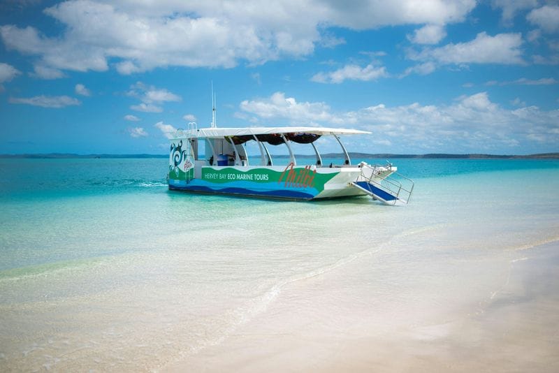 Billet Ecotour découverte des tortues