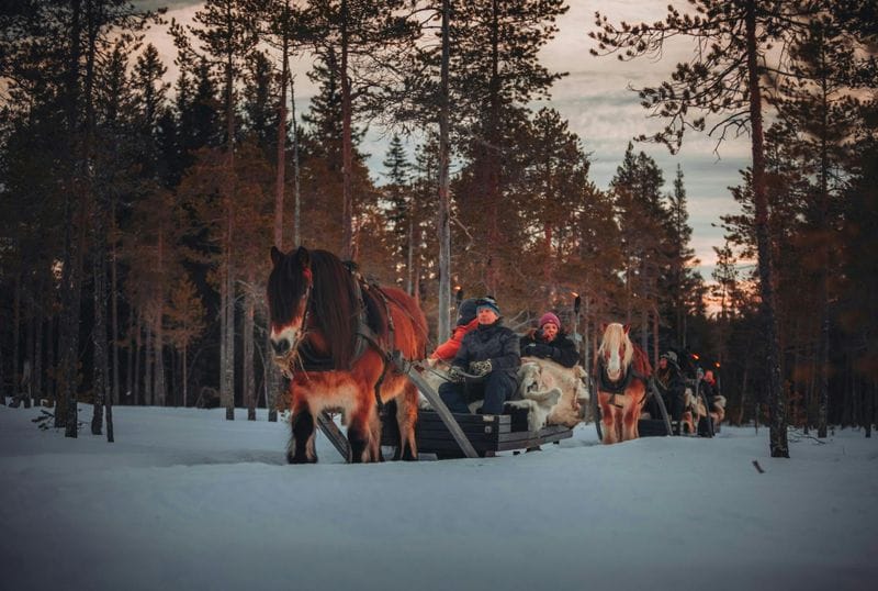 Billet Promenade hivernale en traîneau tiré par des chevaux avec boisson chaude à Trysil