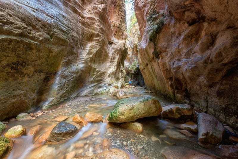 Billet Excursion hivernale en 4x4 dans la péninsule d'Akamas