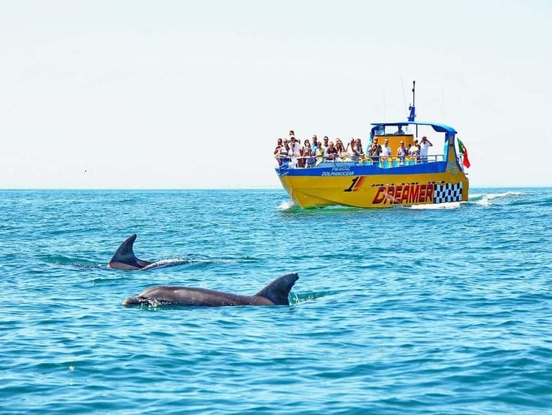 Billet Billet: Visite de la grotte Dreamer et observation des dauphins en mer  - au départ d'Albufeira