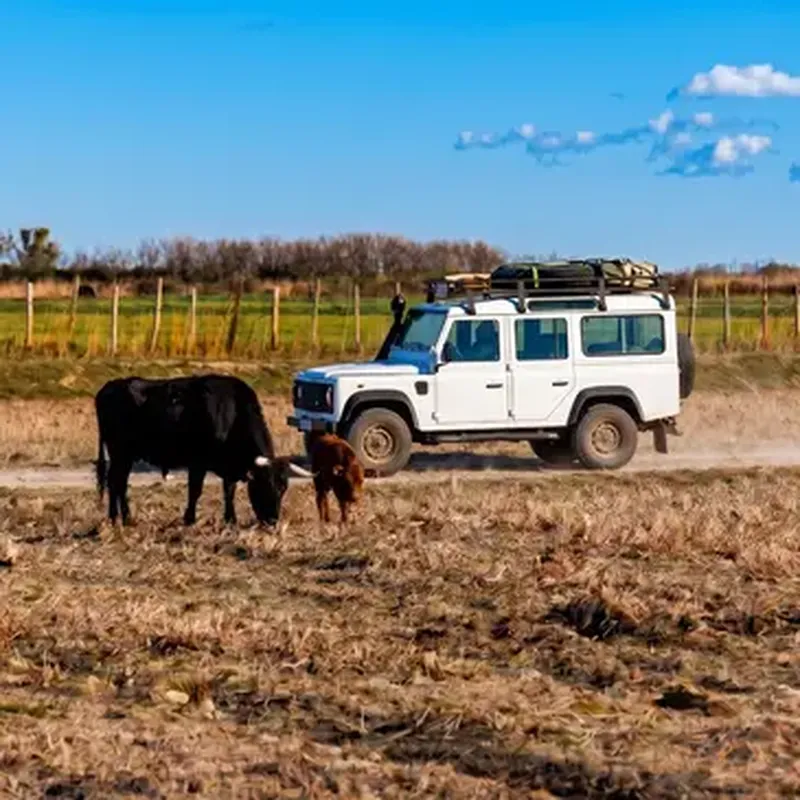 Billet Randonnée Safari en 4x4 à Fontvieille dans les Alpilles