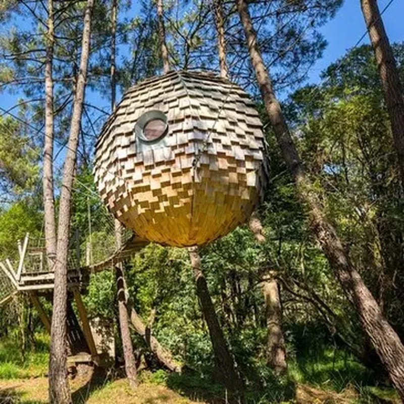 Billet Nuit en Lov'Nid avec Spa près de Carnac