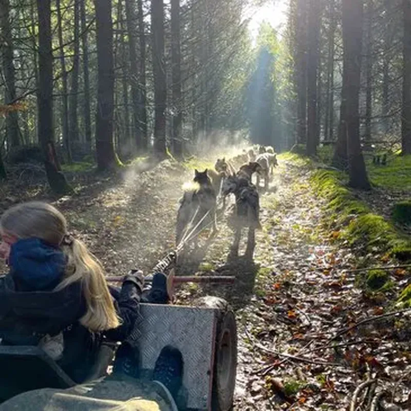 Billet Balade en Cani-Kart près de Clermont-Ferrand