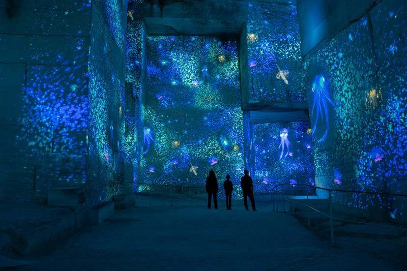 Billet Carrières des Lumières : Exposition Océan