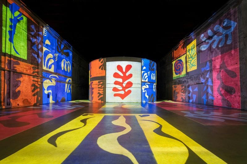 Billet Les Bassins des Lumières : Exposition Matisse et Frida Kahlo