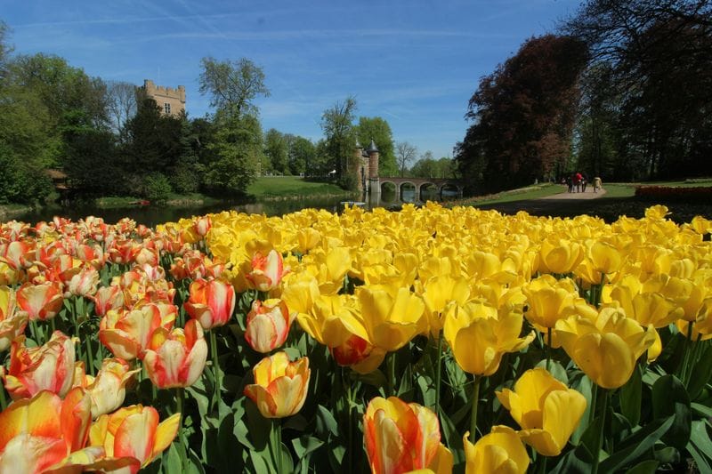Billet Château de Groot-Bijgaarden : Billet d'entrée Floralia Bruxelles