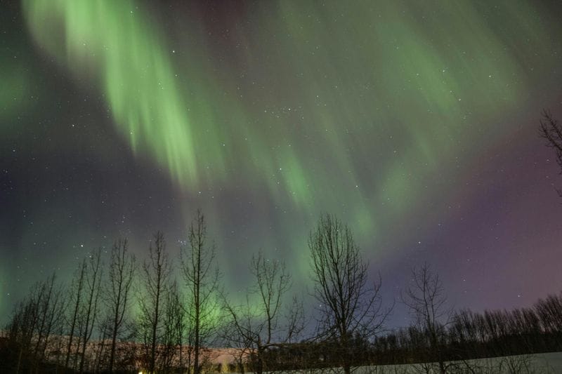 Billet Akureyri : Circuit des aurores boréales en petit groupe