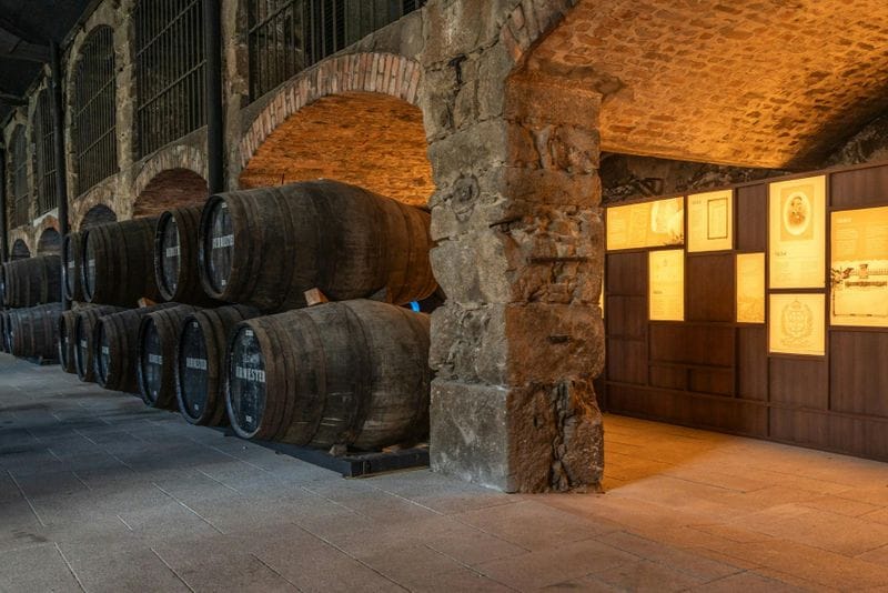 Billet Dégustation de vin de Porto : Caves à vin Burmester