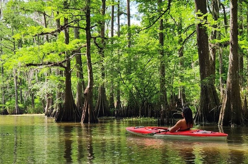 Billet Excursion en kayak dans le bassin d'Atchafalaya Explorer les marécages de Louisiane