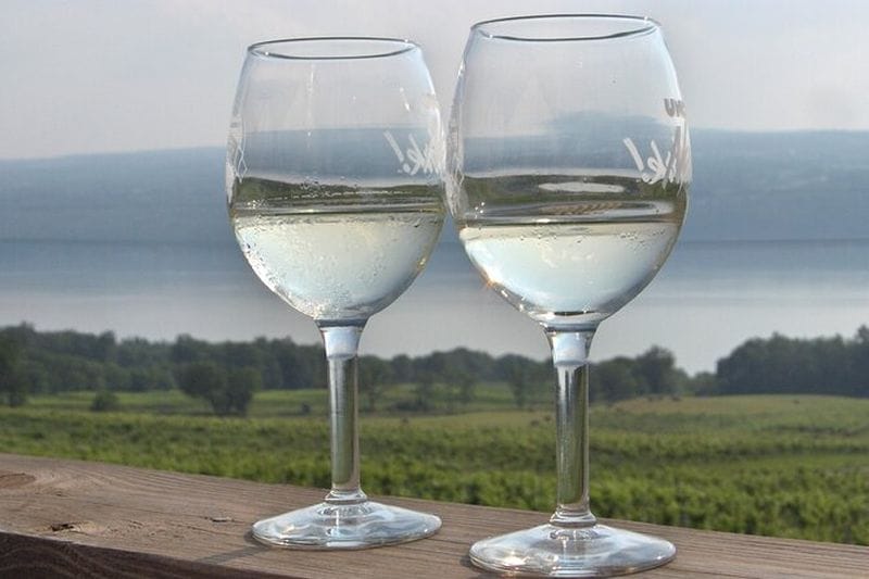 Billet Dégustation de vin et visite du lac Seneca
