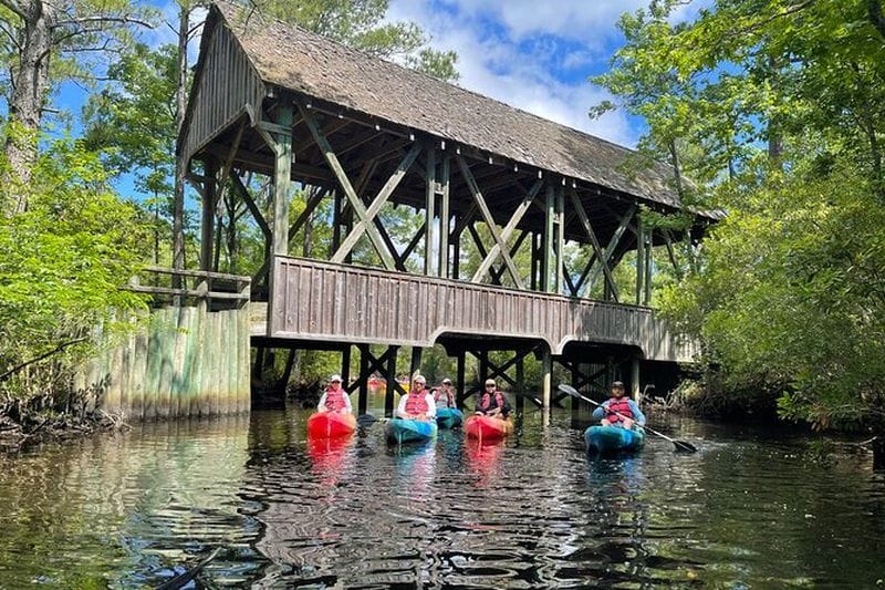 Billet Visite de la forêt maritime et des marais de Kitty Hawk