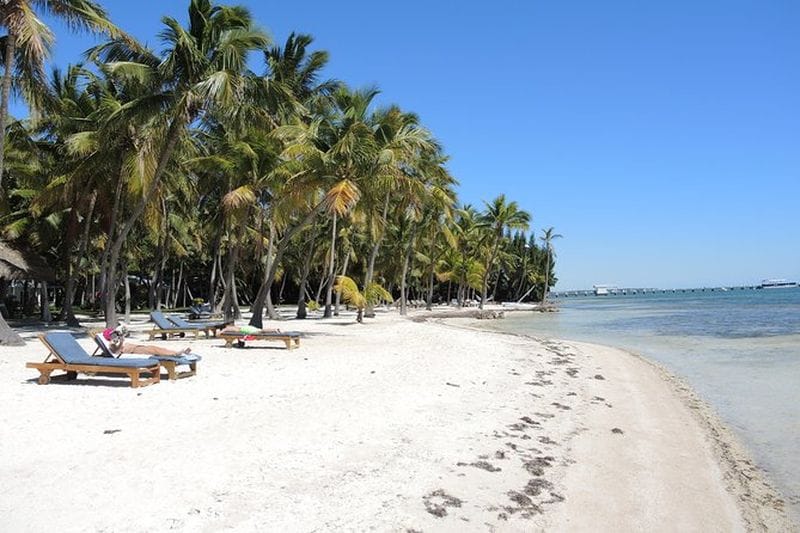 Billet Visite privée de 12 heures à Key Largo et Isla Morada au départ de Miami Dade
