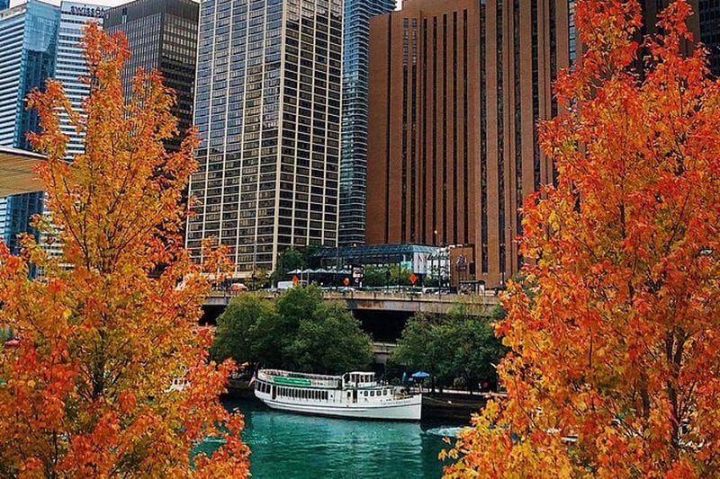 Billet Croisière sur la rivière Chicago Architecture Center à bord de First Lady