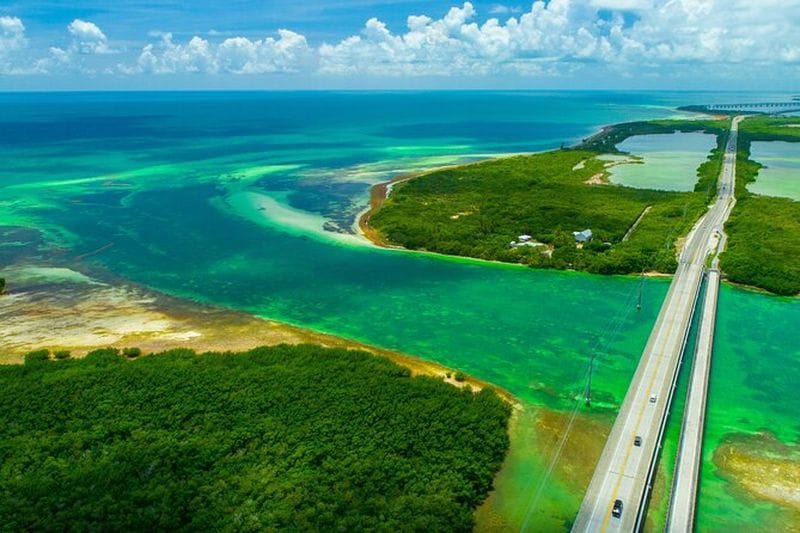 Billet Excursion côtière privée à Key Largo au départ de Miami Scenic Island