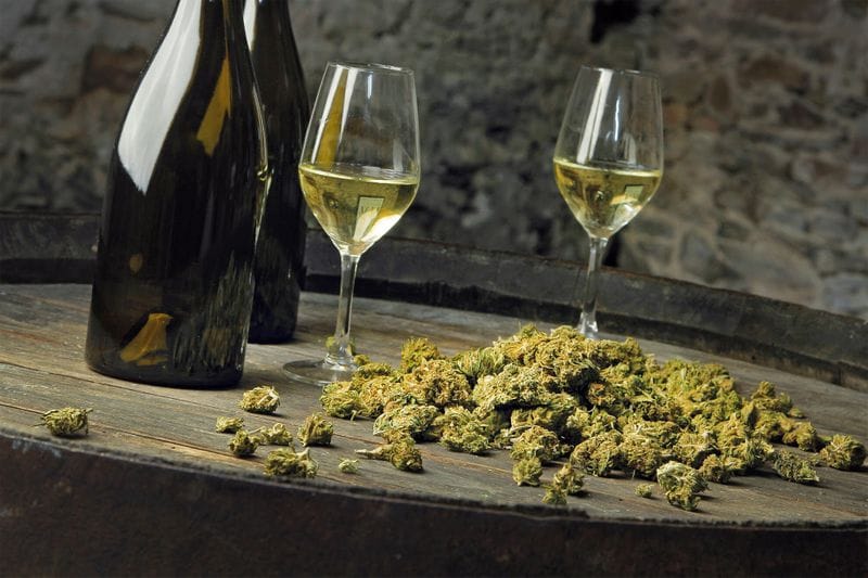 Billet Atelier - Assemblez votre vin de chanvre