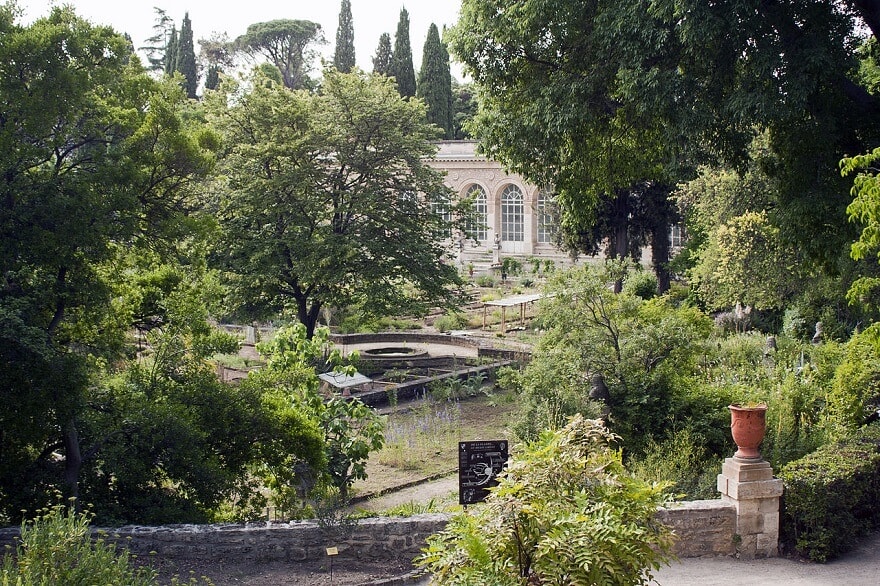 Jardin des Plantes, Faculté de Médecine, Montpellier