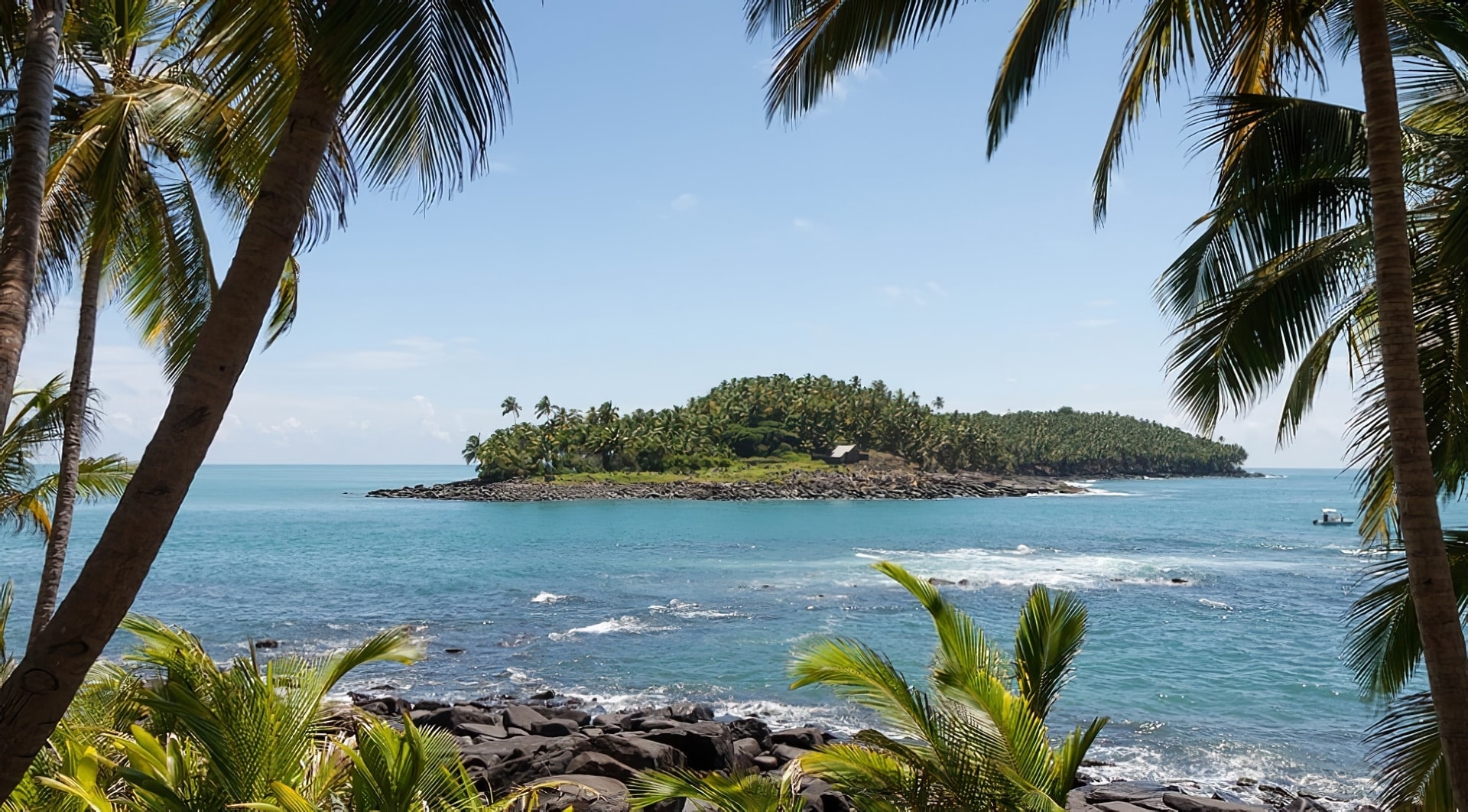Guyane : les meilleures activités à faire dans la région