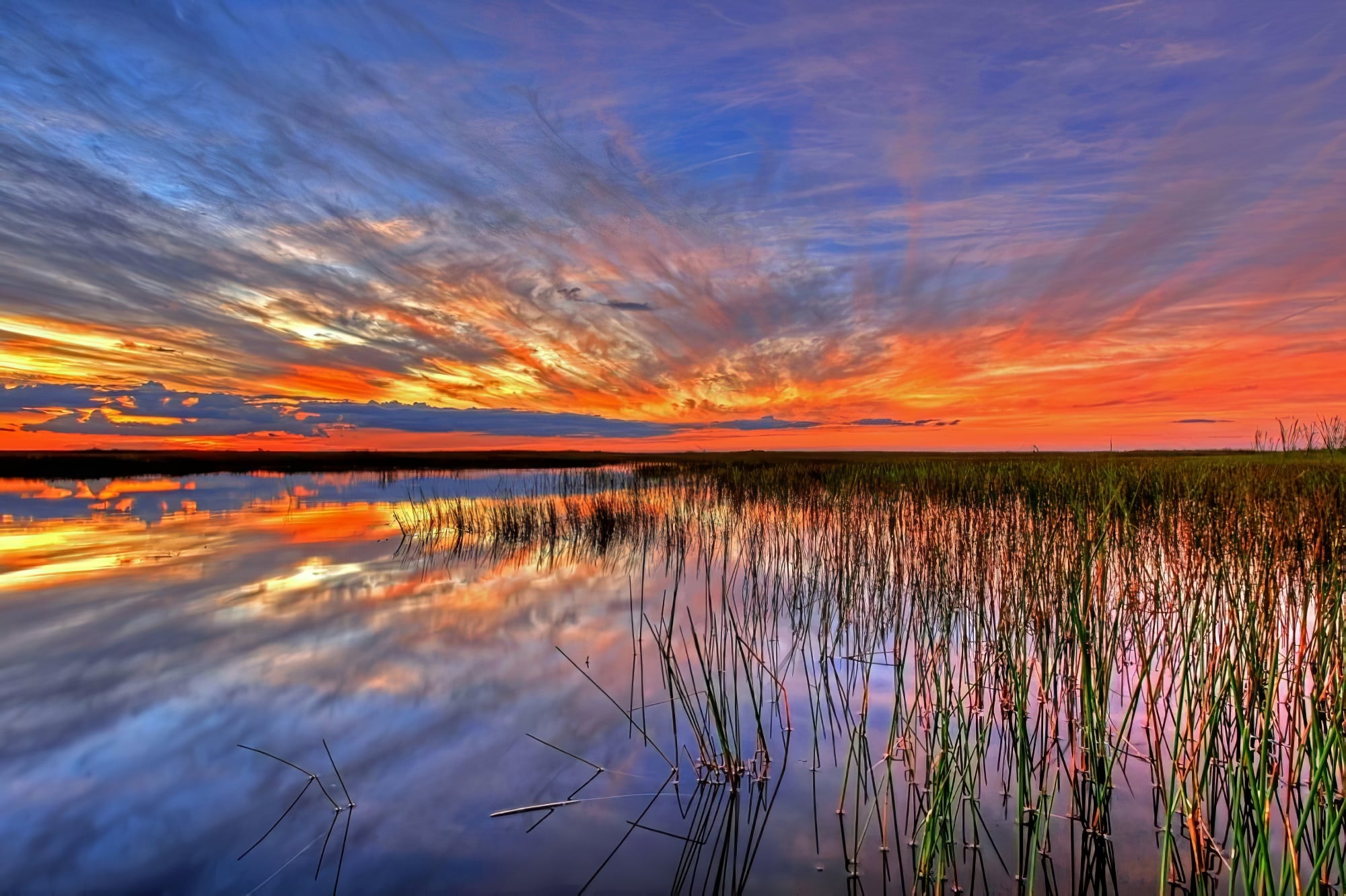 Parc national des Everglades