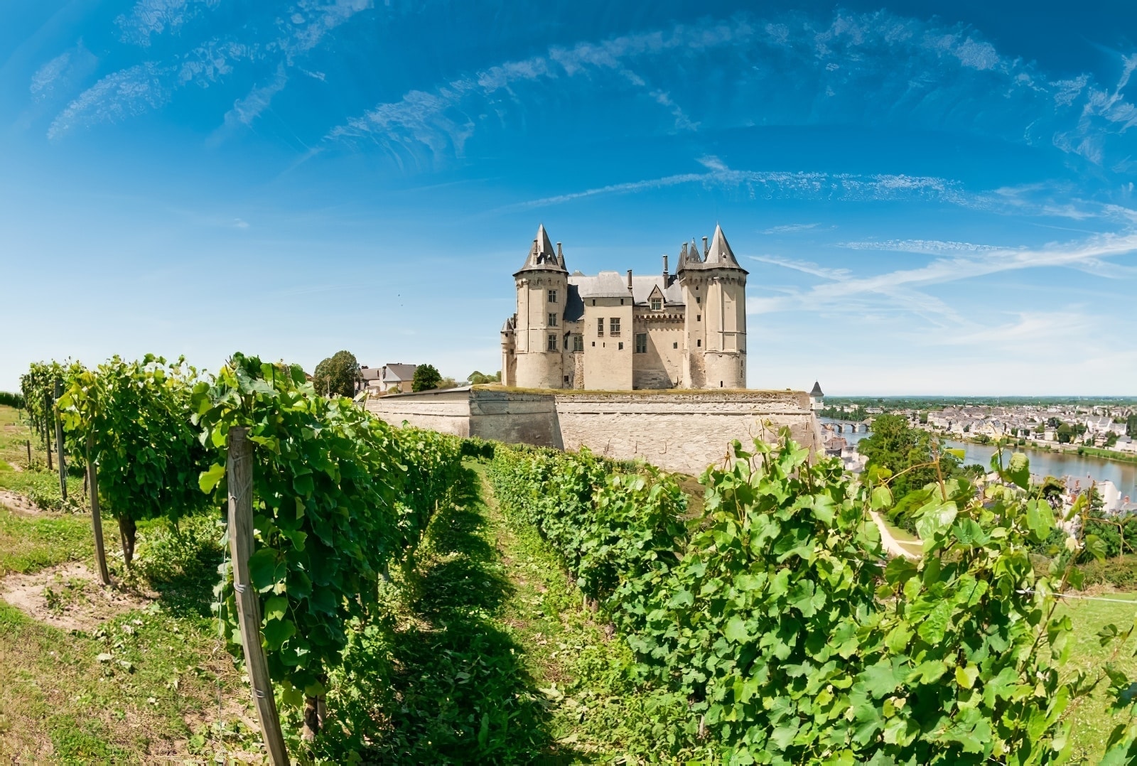 Billet Château de Saumur