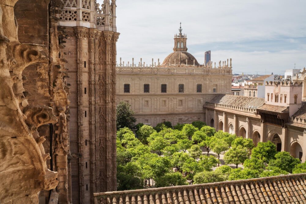 Le Patio des Orangers - Cathédrale de Séville