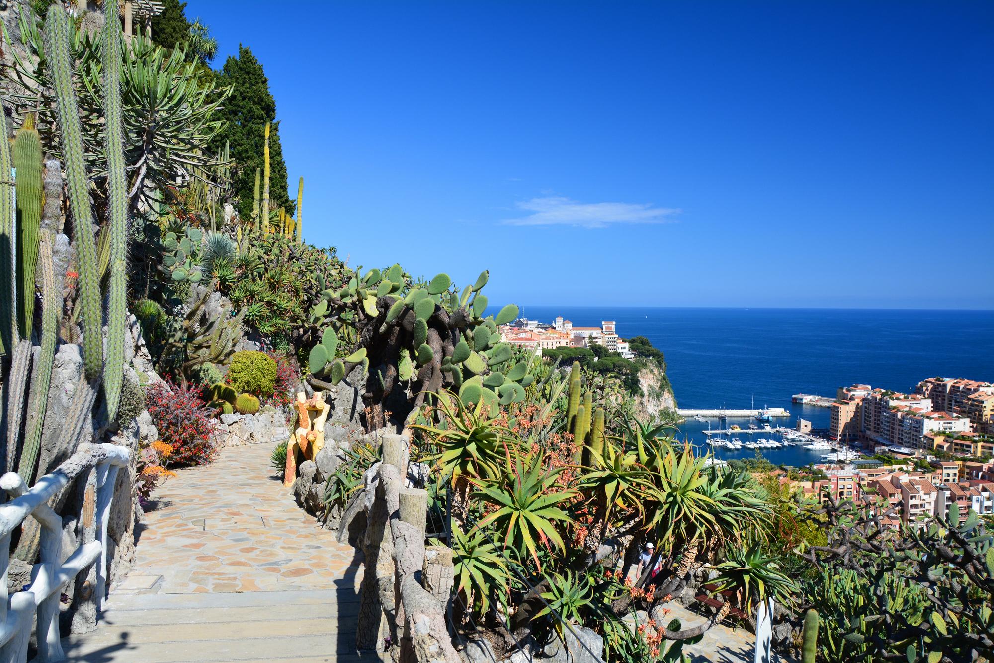 Jardin Exotique de Monaco