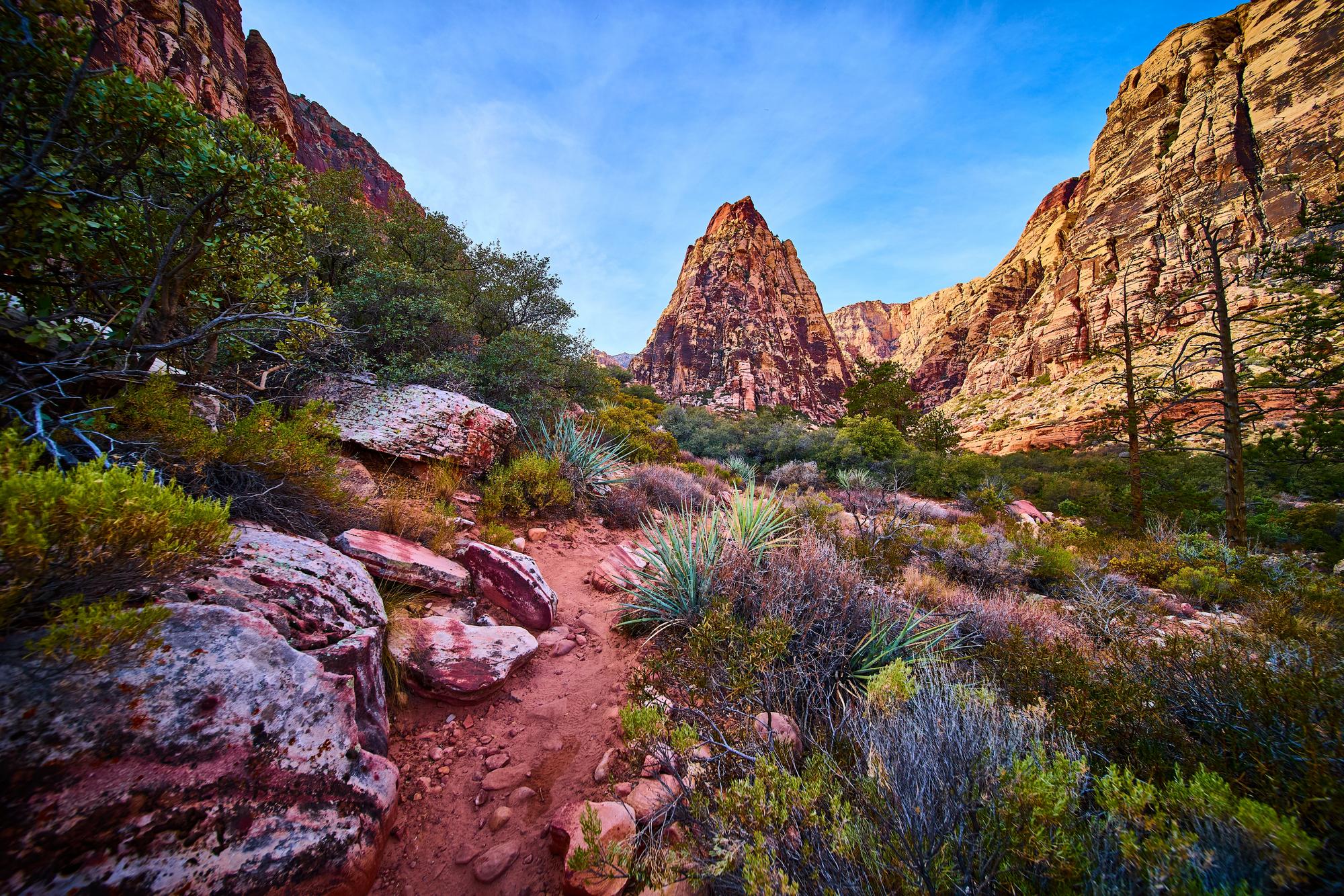Red Rock Canyon